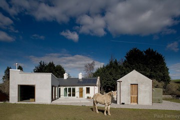 Horse with house in tipperary