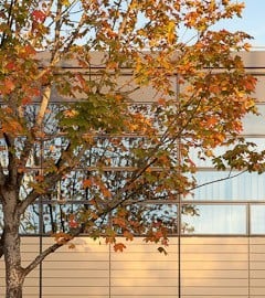Gunn Lennon Design Aluminium Window Facade